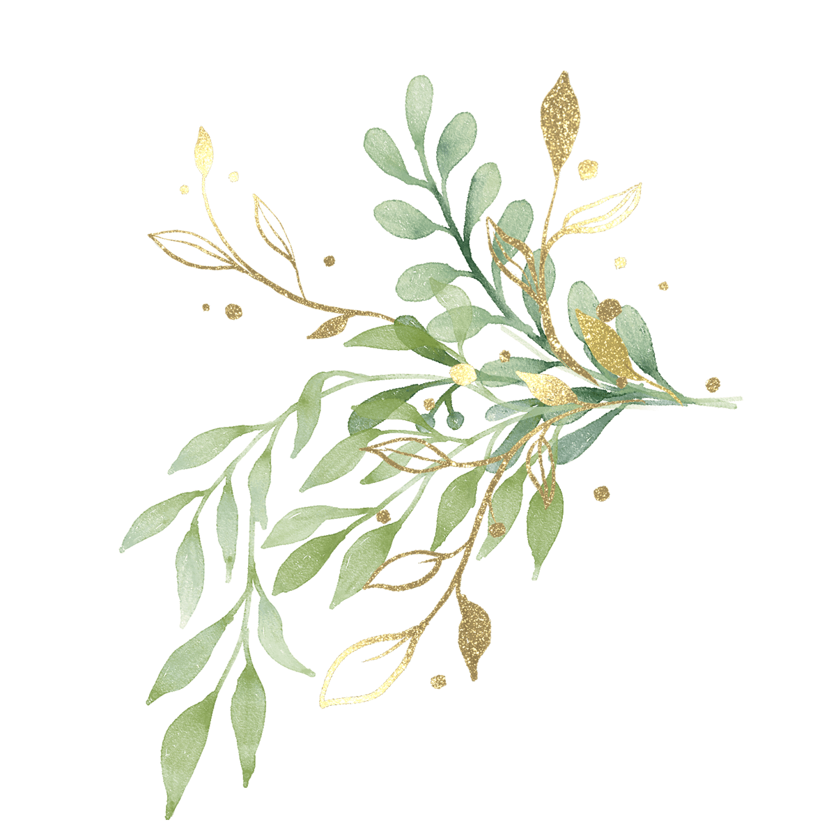 cover-props